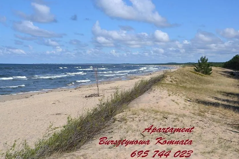 Bursztynowa Komnata - Apartament Gdansk Polonia